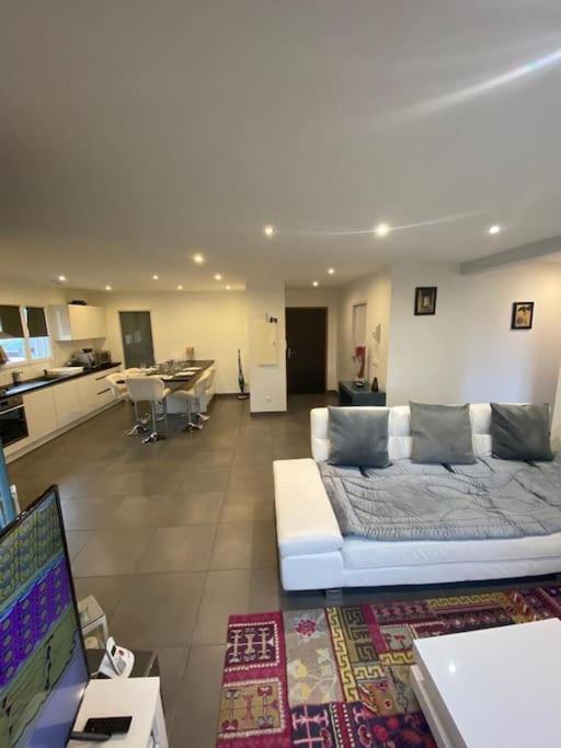 Appartement Belle Vue Sur Les Montagnes Saint-Pierre-en-Faucigny المظهر الخارجي الصورة